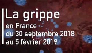 VIDÉO - Grippe : l'épidémie en France entre fin septembre et le 5 février