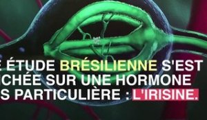 Alzheimer :  la sédentarité favoriserait la maladie