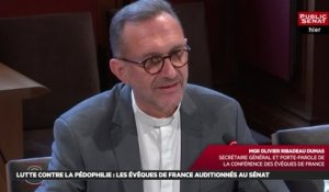 Lutte contre la pédophilie : les évêques de France auditionnés au sénat   - Les matins du Sénat (13/02/2019)