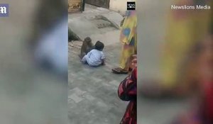 Un singe kidnappe un bébé pour jouer avec lui et refuse de le rendre