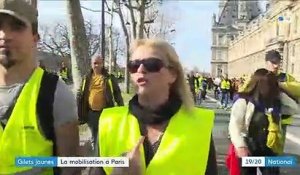 "Gilets jaunes" : 5 000 personnes ont manifesté à Paris