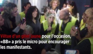 « Ne lâchez rien » : Brigitte Bardot n'abandonne pas les Gilets jaunes