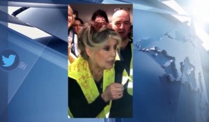 Brigitte Bardot soutient les gilets jaunes : son dernier geste fait sensation