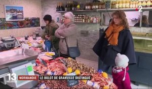 Normandie : le bulot de Granville distingué label d'indication géographique protégée (IGP)