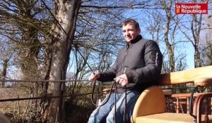 VIDEO. A Saint-Denis-de-Jouhet, il entraîne ses percherons pour le Salon de l'agriculture