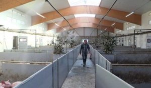 Bretagne: une coopérative agricole travaille au bien-être animal