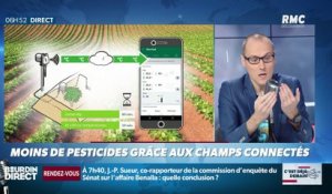 La chronique d'Anthony Morel : Moins de pesticides grâce aux champs connectés - 21/02