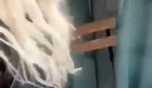 Toronto : Une jeune fille jette deux chaises sur un balcon du 45ème étage