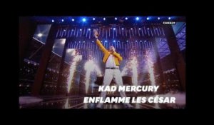 Aux César 2019, Queen honoré par Kad Merad