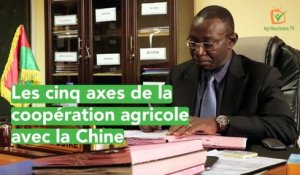 Burkina Faso : Les cinq axes de la coopération agricole avec la Chine