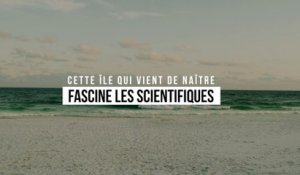 Cette île qui vient de naître fascine les scientifiques