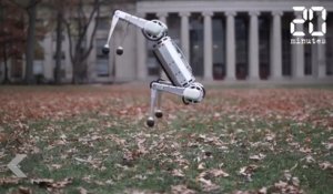 Ce robot est plus fort que vous - Le Rewind du Vendredi 01 Mars 2019