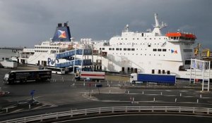 Port de Calais : plus de 60 migrants interpellés