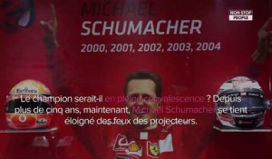 Michael Schumacher convalescent ? Il fait une première sortie remarquée
