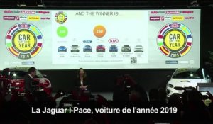 La Jaguar I-Pace élue "voiture de l'année 2019" (2)