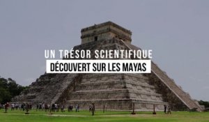 Un trésor scientifique découvert sur les mayas