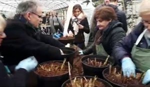 Reprise des ateliers jardinage Les Mardis aux serres à Nancy