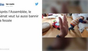 Après l’Assemblée, le Sénat veut lui aussi bannir la fessée