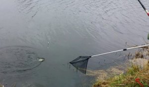 Pont-à-Mousson : ouverture de la pêche et première prise