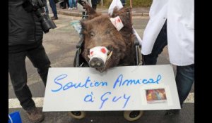 Carnaval de Jalhay - Les Sanglier de Herbiester ont boudé les Boeufs de Jalhay suite à la polémique