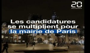 Municipales à Paris: Les candidatures se multiplient