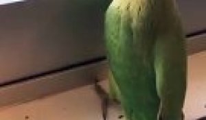 Bebe Joue A Coucou Cache Sous La Robe De Maman En Velo Sur Orange Videos