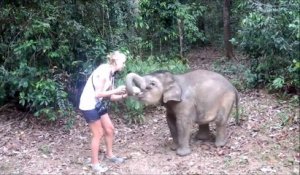 Elle nourrit un éléphanteau affamé... Trop mignon