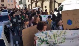 Montbéliard : marche pour le climat (1)
