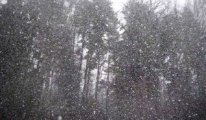 Chutes de neige continues sur les Hauts de France