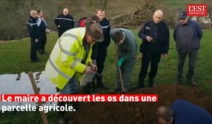 Grande guerre : des ossements découverts à Soumazannes dans la Meuse