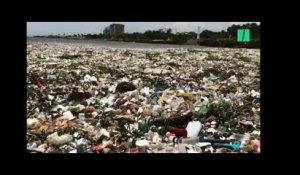 Cette vidéo donne tout son sens à l&#39;expression "mer de plastique"