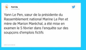 Soupçons d'emplois fictifs au Parlement européen. Yann Le Pen mise en examen.