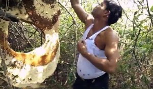 Cet apiculteur indien se couvre le torse de milliers d'abeilles