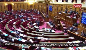 Non-cumul des mandats / sidérurgie / Pédophilie - Sénat 360 (07/02/2019)