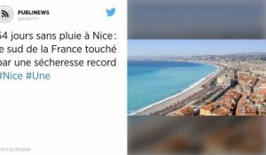 54 jours sans pluie à Nice : le sud de la France touché par une sécheresse record.