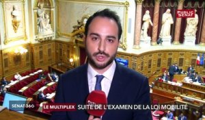 Sécurité routière / Violences dans les manifestations / Remaniement - Sénat 360 (28/03/2019)