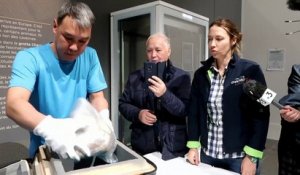Uyan, le lionceau des cavernes congelé exposé pour la première fois en France