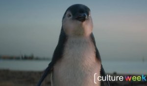 Culture Week by Culture Pub : pingouins, stop-motion et controverse
