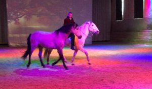 Une pièce équestre au haras national