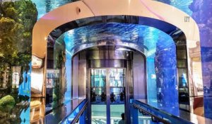 Une énorme fuite d'eau dans un gigantesque aquarium d'un centre commercial