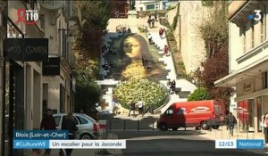 Loir-et-Cher : Léonard de Vinci honoré à Blois