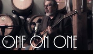 ONE ON ONE: David Bromberg May 17th, 2014 City Winery New York Full Set