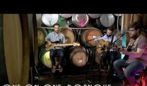 ONE ON ON: Rosu Lup - Roanoke May 18th, 2017 City Winery New York