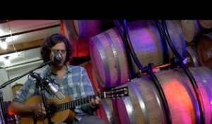 ONE ON ONE: David Berkeley - The Faded Red And Blue April 21st, 2017 City Winery New York