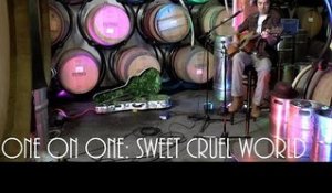 Cellar Sessions: Max Gomez - Sweet Cruel World August 8th, 2017 City Winery New York