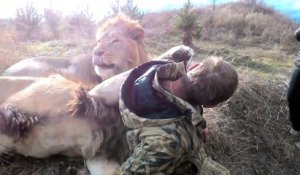 Belle amitié entre un homme et un lion...