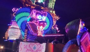 Fanfares et chars ont défilé au carnaval nocturne