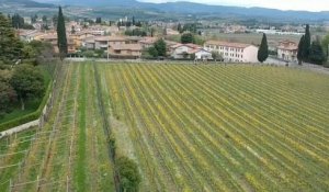 Sur la route des européennes : le Brexit menace-t-il le vin italien ?