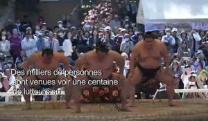 Festival annuel de sumo au sanctuaire de Yasukuni à Tokyo