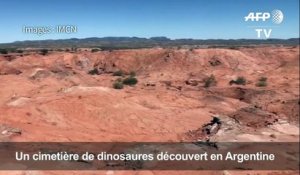 L'Argentine découvre un cimetière de dinosaures